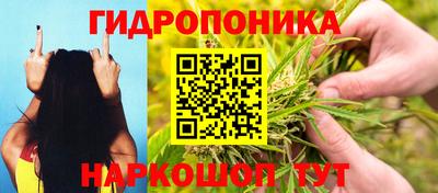 стафф Кимры