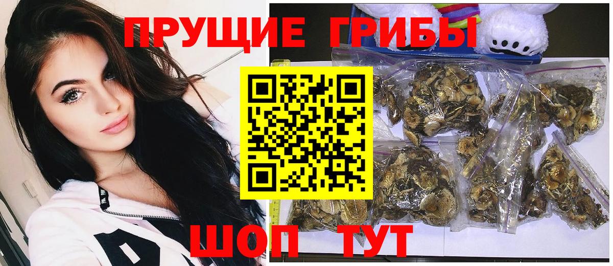 Галлюциногенные грибы мицелий  Вход с VPN  Дубна  где можно купить   Галлюциногенные грибы Magic Shrooms 